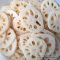 Frozen Lotus Root Slice Ifq Vegetables